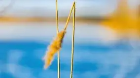 Słoneczny styczeń 2022 nad jeziorami Świętajno i Dworackie - zdjęcie 24