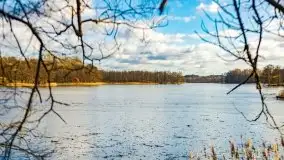 Słoneczny styczeń 2022 nad jeziorami Świętajno i Dworackie - zdjęcie 11