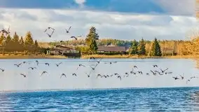 Słoneczny styczeń 2022 nad jeziorami Świętajno i Dworackie - zdjęcie 1