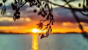 Styczniowe słońce, jezioro Dargin i kra... - zdjęcie 42