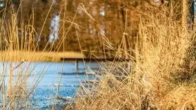 Zachód słońca nad jeziorem Bocznym, styczeń 2022 - zdjęcie 9