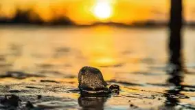 Zachód słońca nad jeziorem Bocznym, styczeń 2022 - zdjęcie 18