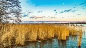 Zachód słońca nad jeziorem Bocznym, styczeń 2022 - zdjęcie 40