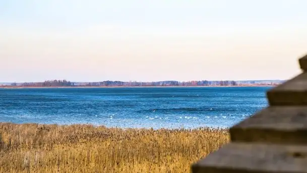 Wieża widokowa nad jeziorem Łuknajno - zdjęcie 6