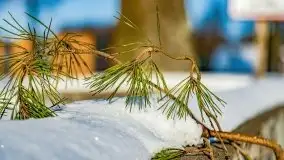 Zimowa Stranda i jezioro Kisajno, styczeń 2022 r. - zdjęcie 7