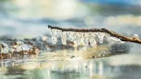 Zimowa wersja AZS Wilkasy nad jeziorem Niegocin, styczeń 2022 r. - zdjęcie 20