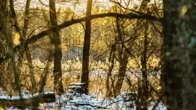 Zachód słońca przy wyspie Wydmińskiej, marzec 2021 r. - zdjęcie 10