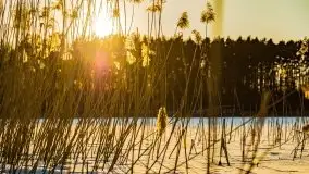 Zachód słońca przy wyspie Wydmińskiej, marzec 2021 r. - zdjęcie 52