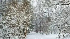 Zimowe widoki, pomiędzy Giżyckiem a Wilkasami - zdjęcie 11