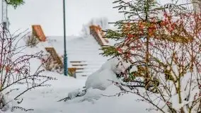 Zimowe widoki, pomiędzy Giżyckiem a Wilkasami - zdjęcie 2