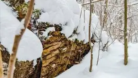 Zimowe widoki, pomiędzy Giżyckiem a Wilkasami - zdjęcie 24