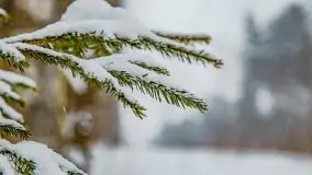 Zimowe widoki, pomiędzy Giżyckiem a Wilkasami - zdjęcie 10