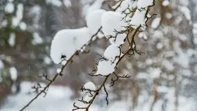 Zimowe widoki, pomiędzy Giżyckiem a Wilkasami - zdjęcie 25