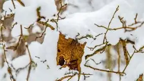Zimowe widoki, pomiędzy Giżyckiem a Wilkasami - zdjęcie 33