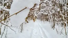 Zimowe widoki, pomiędzy Giżyckiem a Wilkasami - zdjęcie 22