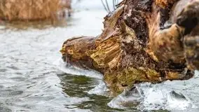 Niegocin i Giżycko skute lodem, grudzień 2020 - zdjęcie 9