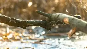 Zimowe jeziora przy Malinówce Wielkiej - zdjęcie 14