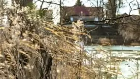 Zimowe jeziora przy Malinówce Wielkiej - zdjęcie 49