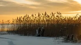 Wschód słońca nad jeziorem Niegocin w Wilkasach - zdjęcie 19
