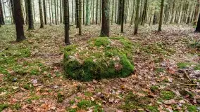 Kamienie ofiarne w okolicach jeziora Kruklin - zdjęcie 7