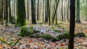 Kamienie ofiarne w okolicach jeziora Kruklin - zdjęcie 16