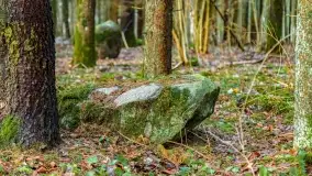 Kamienie ofiarne w okolicach jeziora Kruklin - zdjęcie 9