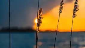 Zachód słońca nad jeziorem Niegocin, Bystry, luty 2021 - zdjęcie 17