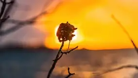 Zachód słońca nad jeziorem Niegocin, Bystry, luty 2021 - zdjęcie 52