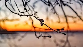 Jezioro Kisajno po zachodzie słońca, luty 2022 r. - zdjęcie 7