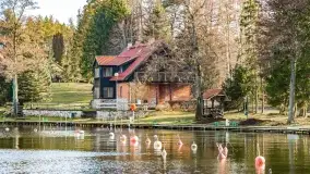 Wierzba i puszcza Piska, luty 2022 r. - zdjęcie 12