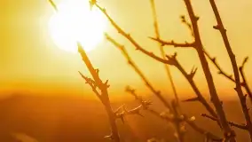 Zachód słońca nad grodziskiem Święta Góra i jeziorem Wojnowo, luty 2022 r. - zdjęcie 30