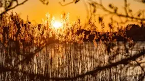 Zachód słońca nad grodziskiem Święta Góra i jeziorem Wojnowo, luty 2022 r. - zdjęcie 19