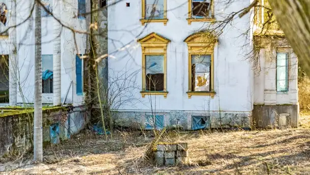 Ruiny pałacu z początku XX wieku w Notyście - zdjęcie 6