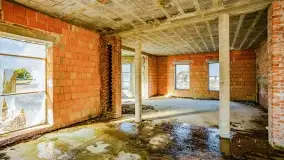 Ruiny pałacu z początku XX wieku w Notyście - zdjęcie 49