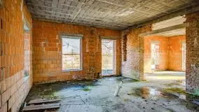 Ruiny pałacu z początku XX wieku w Notyście - zdjęcie 51