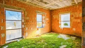 Ruiny pałacu z początku XX wieku w Notyście - zdjęcie 44