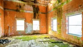 Ruiny pałacu z początku XX wieku w Notyście - zdjęcie 29