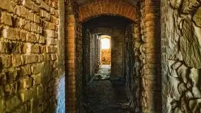 Ruiny pałacu z początku XX wieku w Notyście - zdjęcie 48