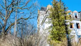 Ruiny pałacu z początku XX wieku w Notyście - zdjęcie 28