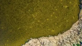 Dargin i okoliczne jeziora z lotu mewy - zdjęcie 27