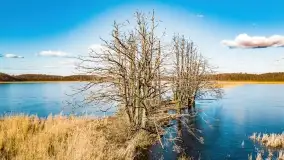 Jezioro Kirsajty i przedwiośnie - zdjęcie 2