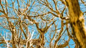 Jezioro Kirsajty i przedwiośnie - zdjęcie 53