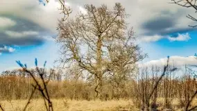 Jezioro Kirsajty i przedwiośnie - zdjęcie 26