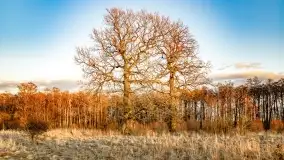 Zachód słońca nad jeziorem Kirsajty, marzec 2022 r. - zdjęcie 4