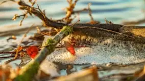 Zachód słońca nad jeziorem Tałty i kanałem Tałckim - zdjęcie 58