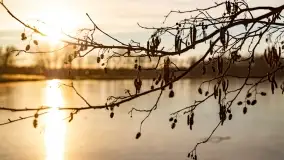 Zachód słońca nad jeziorem Harsz w Harszu - zdjęcie 31