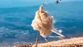 Przedwiośnie w porcie Nowy Harsz nad jeziorem Dargin - zdjęcie 5