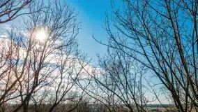 Jezioro Dobskie w okolicach Dziewiszewa, wyspa Gilma - zdjęcie 17