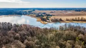 Jezioro Dobskie w okolicach Dziewiszewa, wyspa Gilma - zdjęcie 27