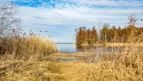 Jezioro Dobskie w okolicach Dziewiszewa, wyspa Gilma - zdjęcie 24